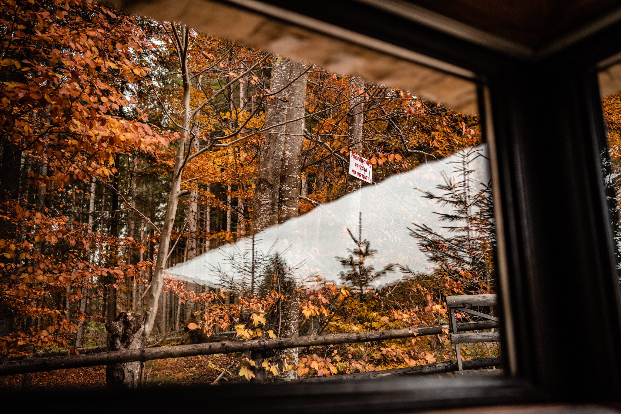 interior cabana haiducului vila la munte in valea doftanei fotografiata de vlad pahontu primavara locatie