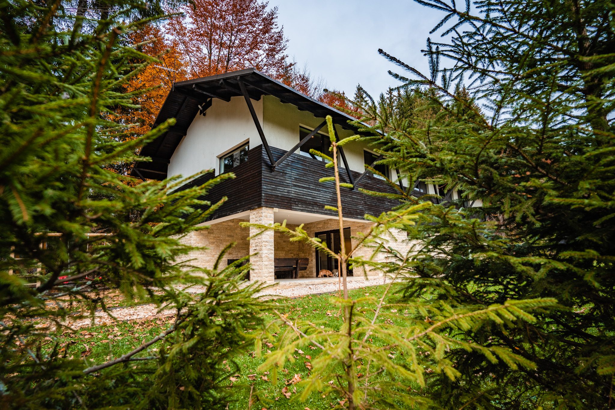 exterior cabana haiducului vila la munte in valea doftanei fotografiata de vlad pahontu primavara locatie