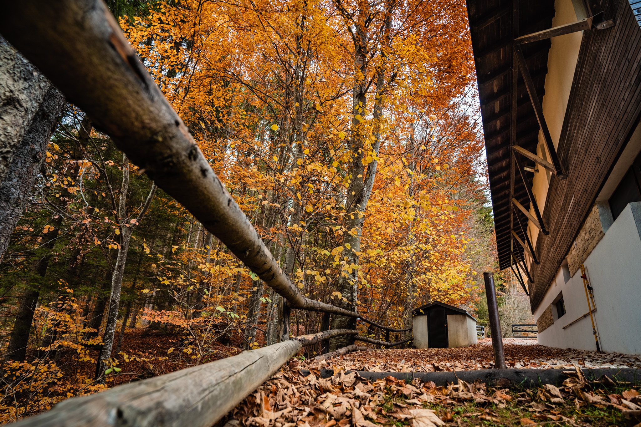 exterior cabana haiducului vila la munte in valea doftanei fotografiata de vlad pahontu primavara